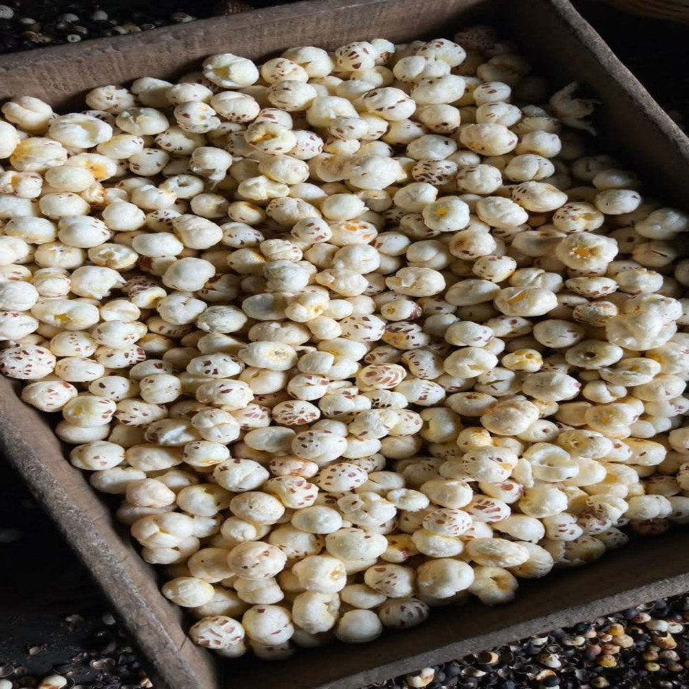 Foxnuts Exporter Supplier
